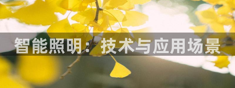 云頂國(guó)際軟件官網(wǎng)下載：智能照明：技術(shù)與應(yīng)